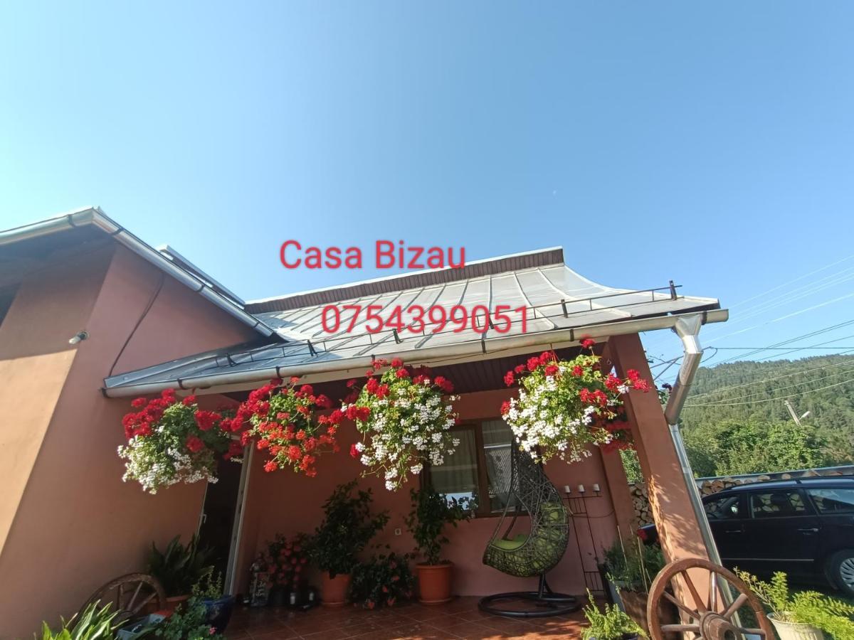 Casa Bizau Hotel Viseu de Mijloc Bagian luar foto